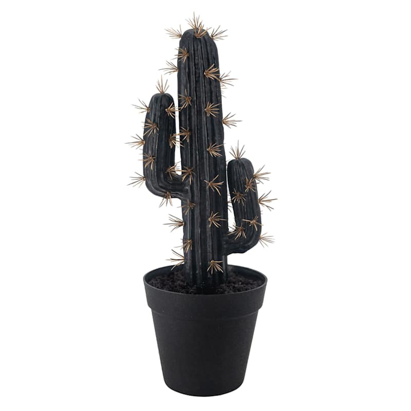 Saguaro Cactus Arrangement, 15.5" | At Home