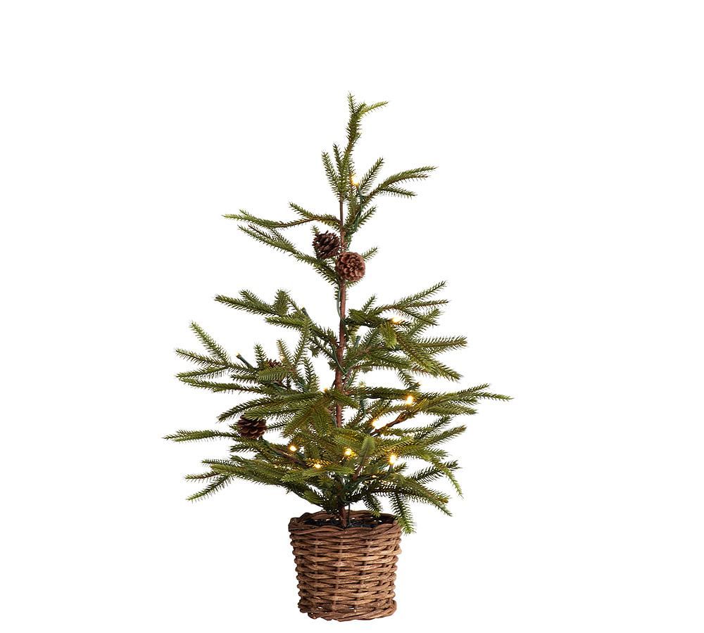 Lit Faux Pine Trees in Basket | Pottery Barn (US)