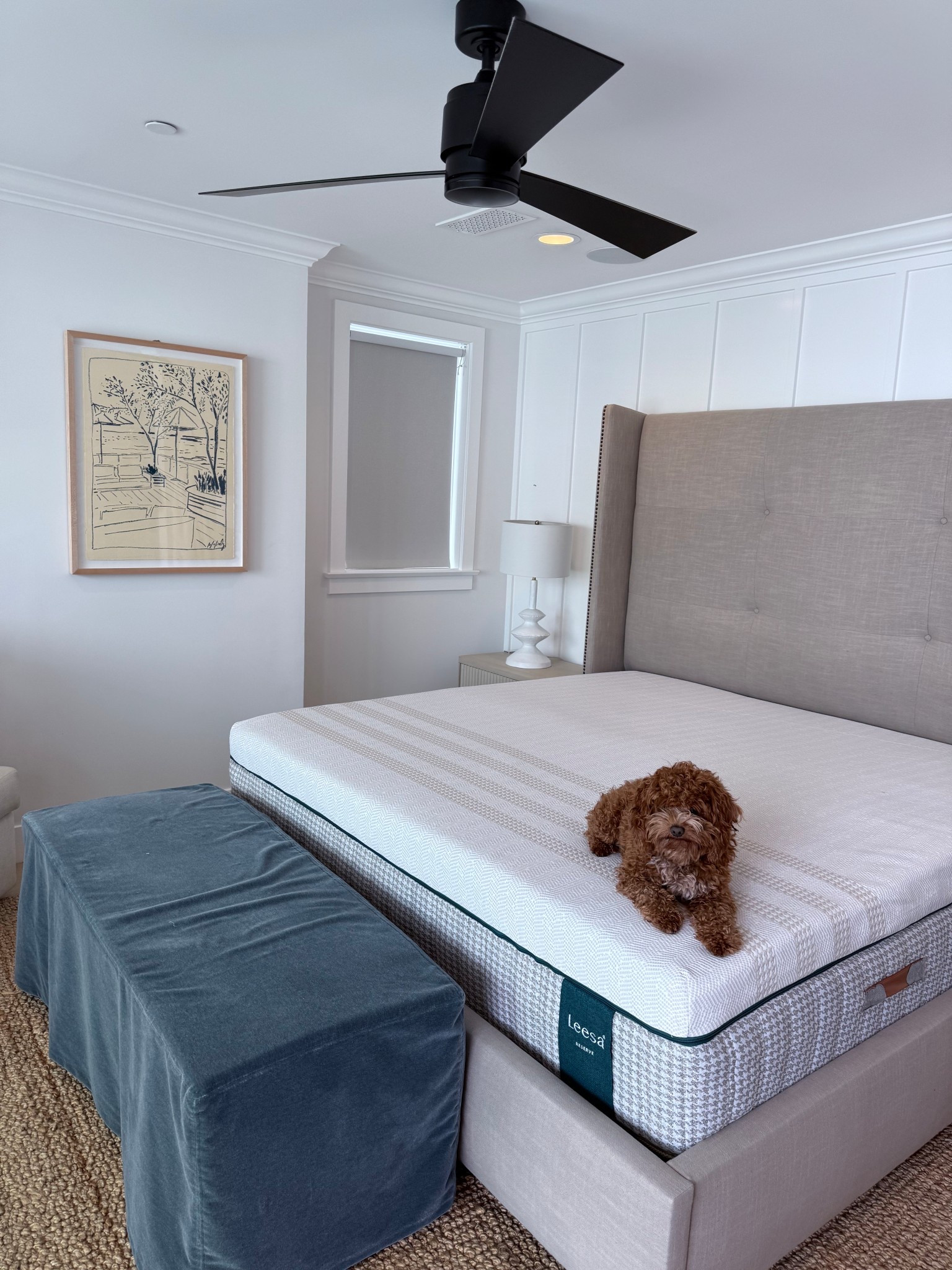 New mattress!!!!! By @lessasleep #LessaPartner 