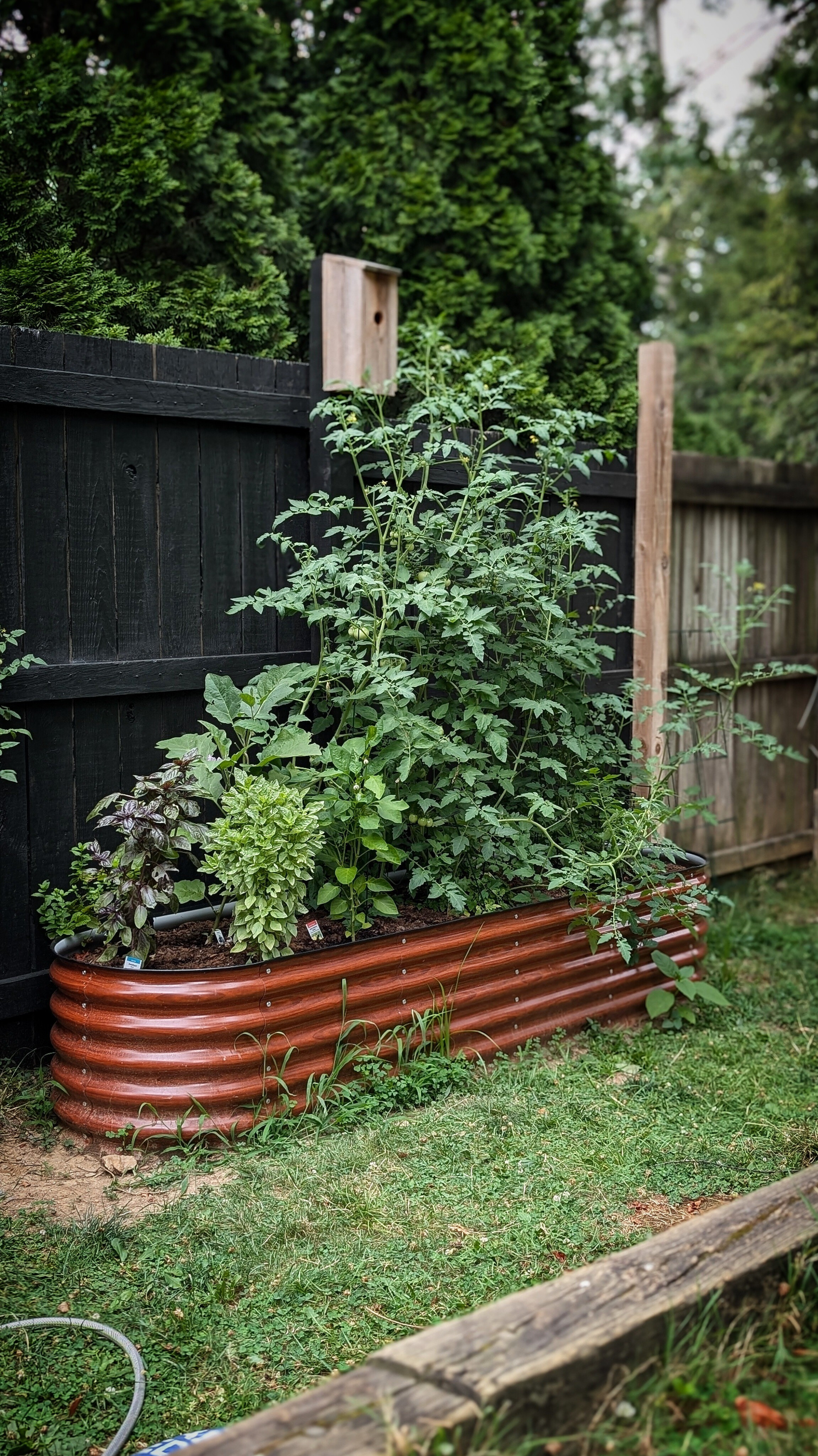 Looks like our tomato plants are really digging the new planter 🍅 Several places have this on sale right now!

#LTKSummerSales #LTKHome #LTKSeasonal