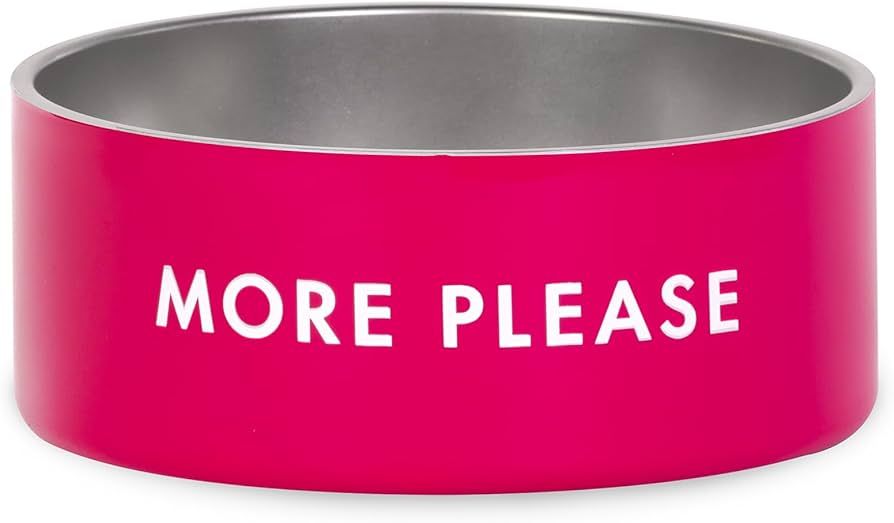 Kate Spade New York Dog Dish for Food and Water, Stainless Steel Bowl with Non-Slip Base, 2 Cup (... | Amazon (US)