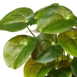 11.5"  x 6" Artificial Pilea Plant in Ribbed Ceramic Pot White -  Hilton Carter for Target | Target