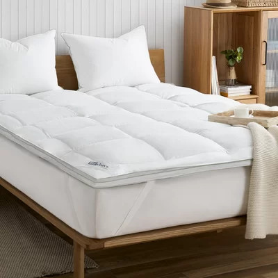 RE-Duce Recycled 100% Hungarian Goose Downtop Featherbed | Wayfair North America