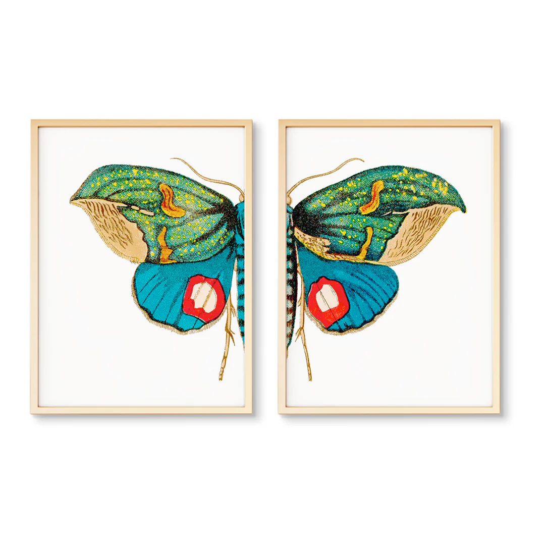Forest Moth Split | Urban Garden Prints