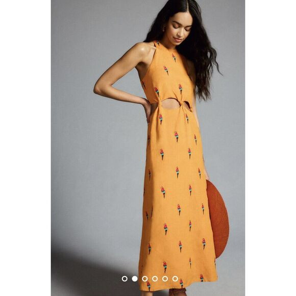 New Anthropologie Farm Rio Parrot Halter Maxi Dress Size Medium | Poshmark