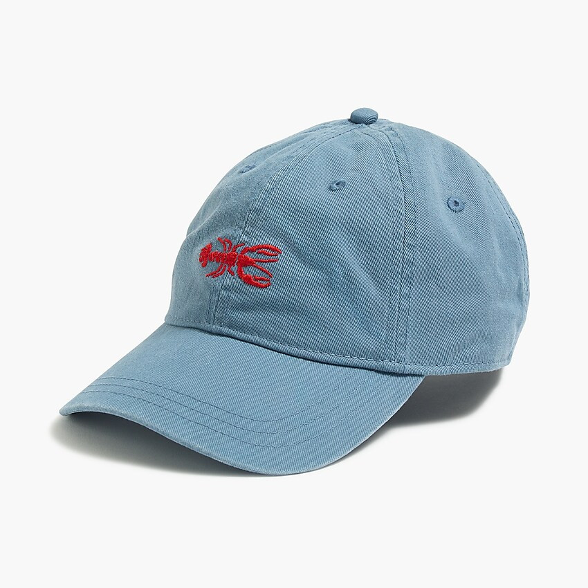 Washed critter baseball cap | J.Crew Factory
