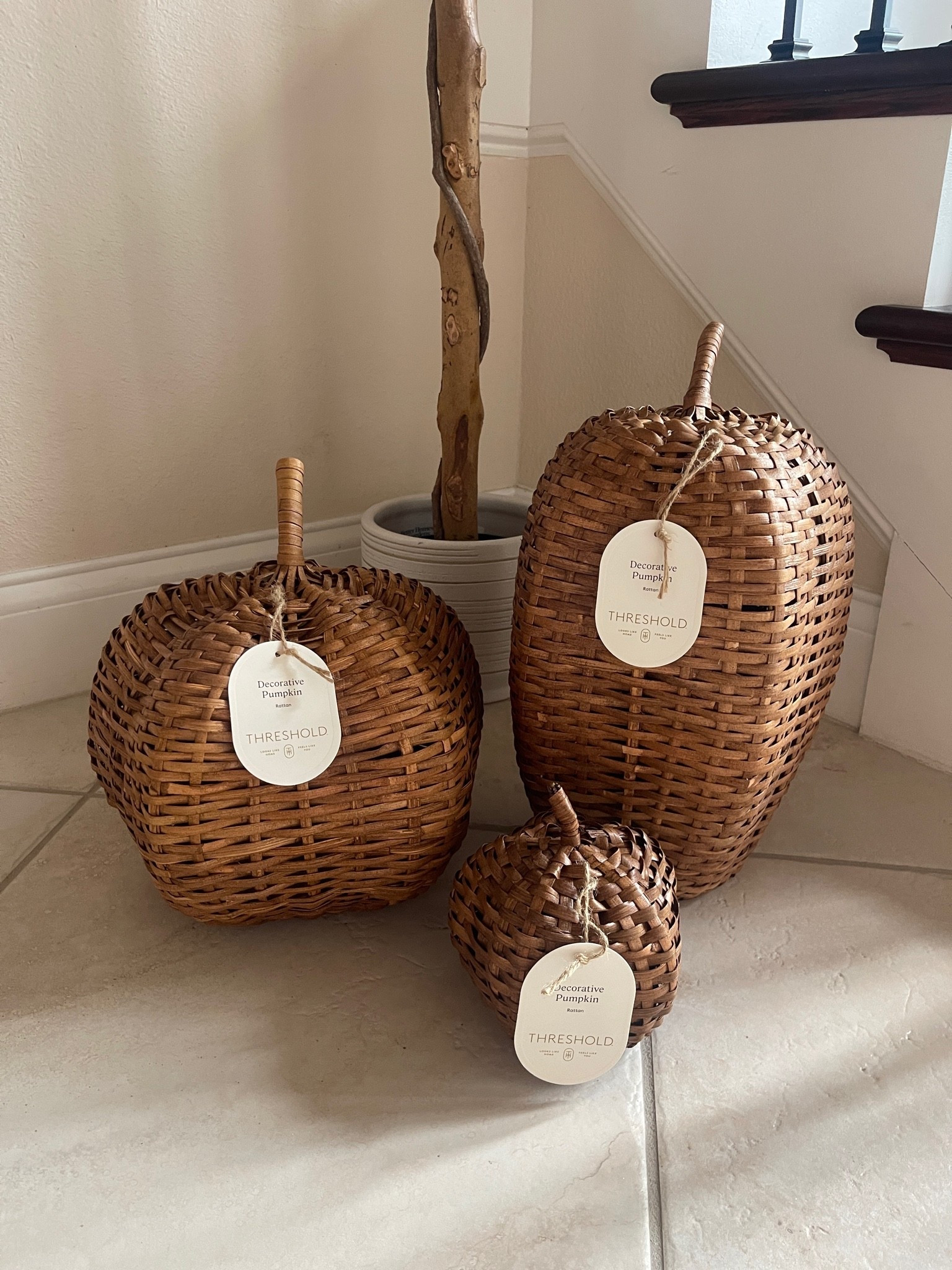 Target understood the assignment with these woven pumpkins 🤎🍂 They’re each sold separately, but all three coordinate perfectly and look SO good grouped together. I love fall decor that feels warm and seasonal without turning the whole house orange. 😂 The woven rattan texture and rich brown tone are perfect for a neutral home and can easily work in an entryway, living room, on a hearth or styled by the stairs. Target fall finds are already getting me in trouble.

woven pumpkins, woven pumpkin decor, rattan pumpkins, wicker pumpkins, decorative pumpkins, fall pumpkins, neutral pumpkins, brown pumpkins, Target pumpkins, Target fall decor, Target fall finds, Target home decor, Target home finds, Threshold decor, Threshold fall decor, fall decor, fall home decor, neutral fall decor, fall decorating ideas, fall decor ideas, fall home finds, autumn decor, autumn home decor, neutral autumn decor, cozy fall decor, classy fall decor, elegant fall decor, modern fall decor, traditional fall decor, organic fall decor, natural fall decor, rustic fall decor, textured fall decor, neutral home decor, warm neutral decor, brown home decor, cozy home decor, organic modern decor, transitional home decor, entryway fall decor, foyer fall decor, living room fall decor, fireplace fall decor, staircase fall decor, fall entryway, fall styling, pumpkin decor ideas, fall 2026 decor, Target decor finds, affordable fall decor

#LTKSeasonal #LTKHome #LTKSaleAlert