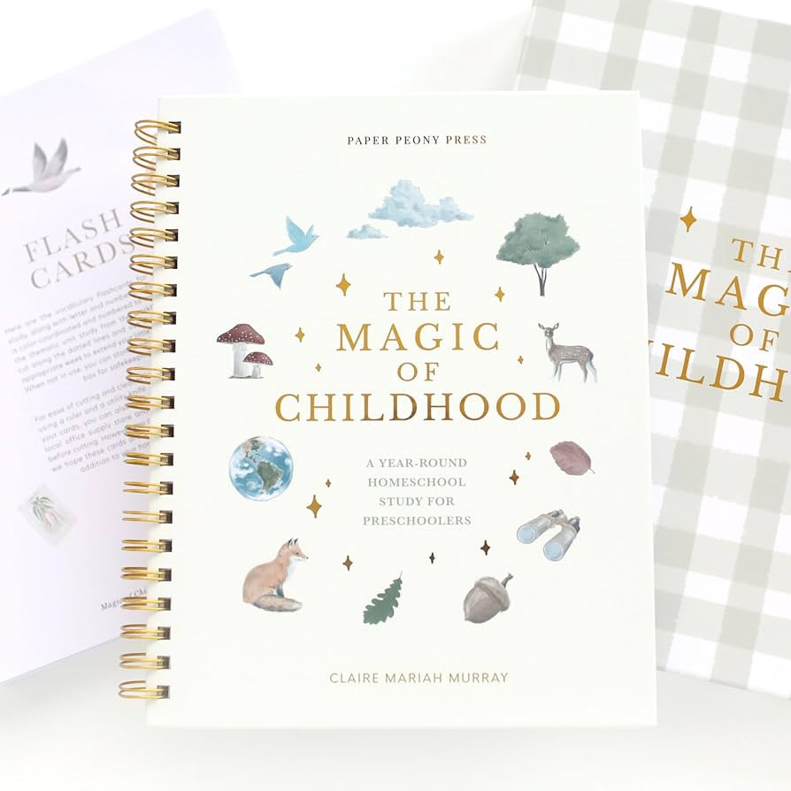 The Magic of Childhood: A 52 Week Christian Homeschool Curriculum for Preschoolers | Weekly Units... | Amazon (US)