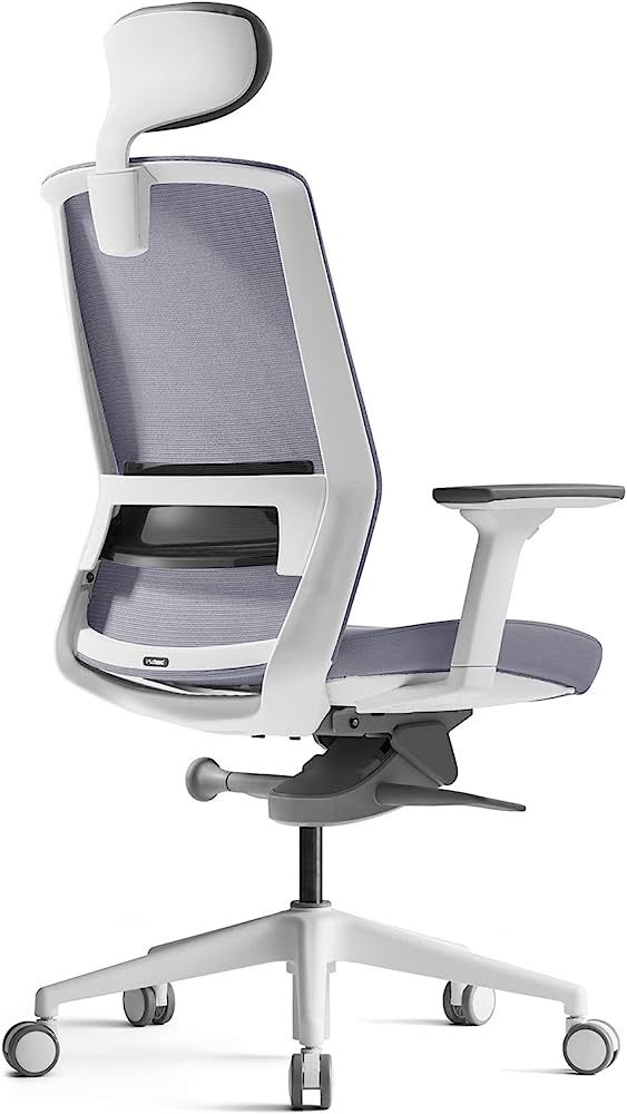 BESTUHL J17 Home Office Desk Chair - Ergonomic, High Back, 3 Lockable Recline Positions, 3-Way Ar... | Amazon (US)