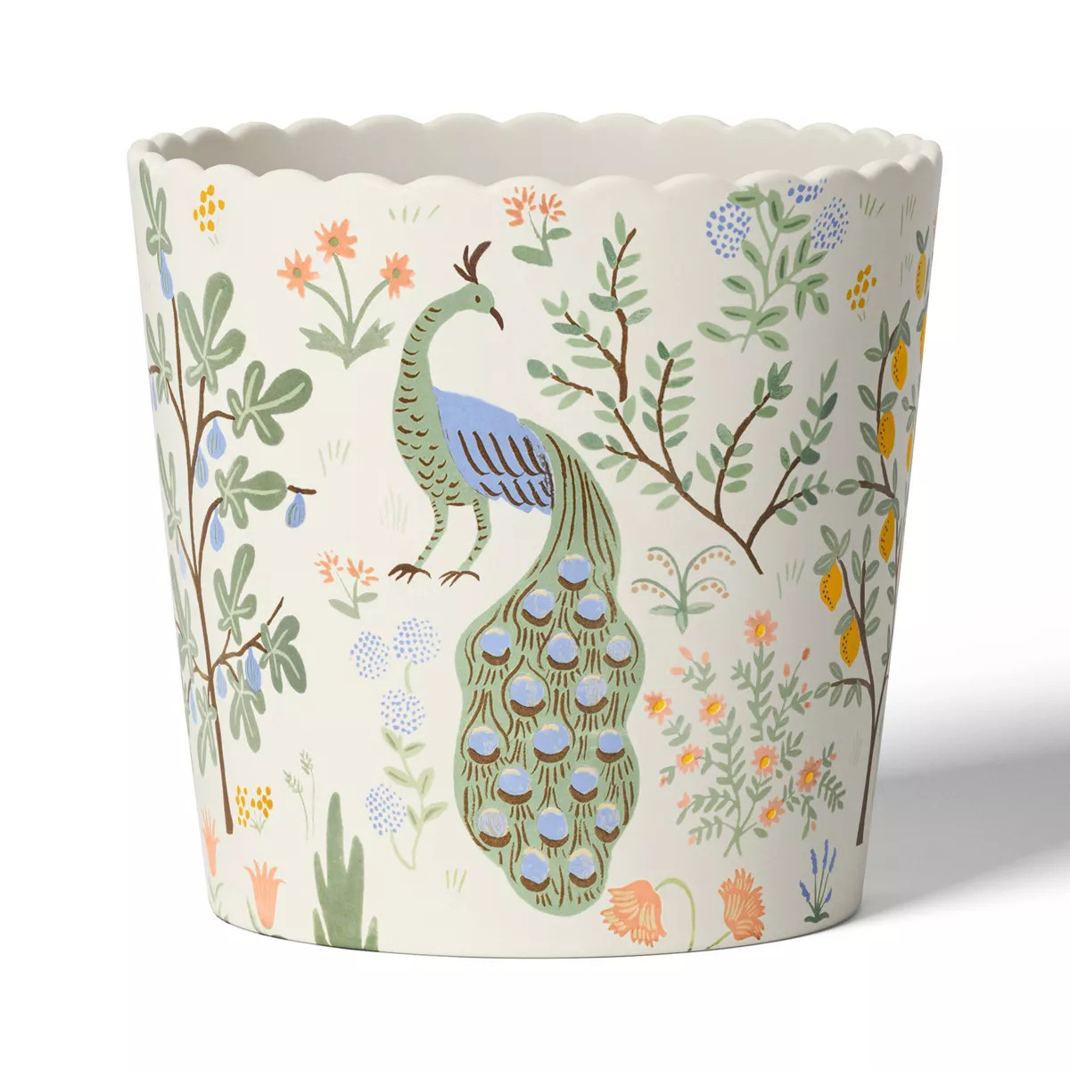 Rifle Paper Co. x Target Large Indoor Planter Menagerie: Ceramic Planter Pot with Drainage, Multi... | Target