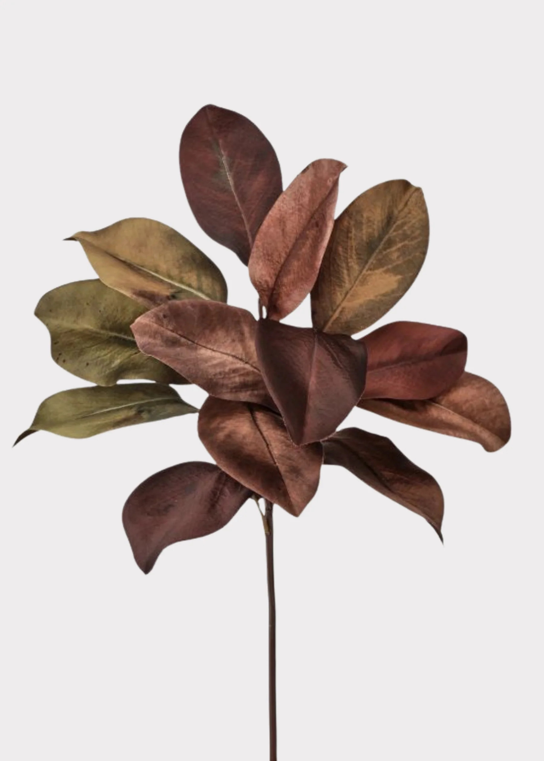 Fall Brown Magnolia Leaf Pick | Artificial Autumn Leaves | Afloral | Afloral