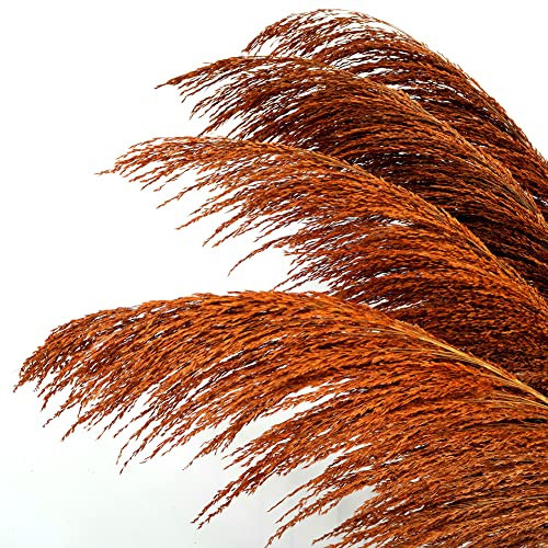 Burnt Orange Pampas Grass Tall, 8pcs 31.5" Natural Brown Pampas Floral with Dried Flower Aroma, Noble, Charming, Vintage ,Elegant Large Dried Plant for Living Room Decor, Brown Feather Flowers | Amazon (US)
