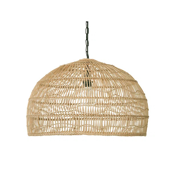 Aletse 1 - Light Single Pendant | Wayfair North America