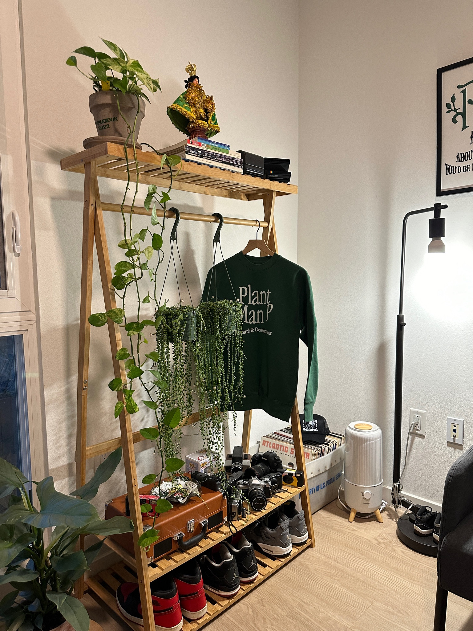 Office planty corner 🌱

#LTKhome