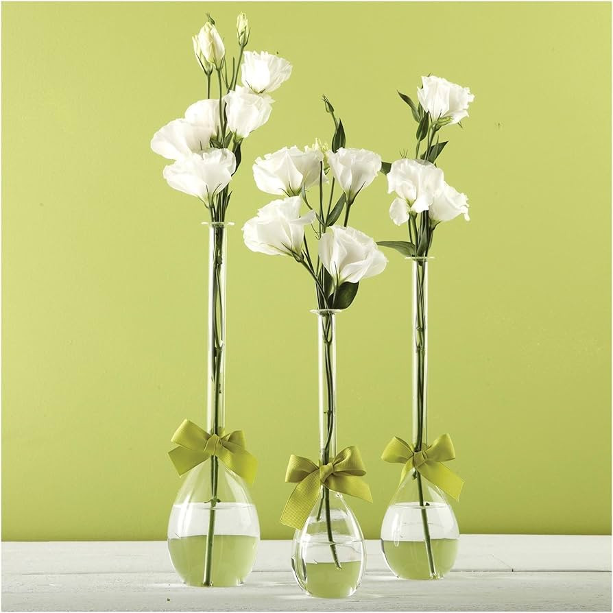 Two's Company Sleek and Chic Set of 3 Tear Drop Vase | Amazon (US)