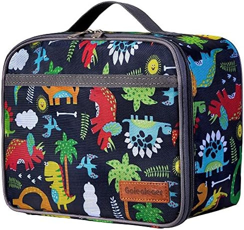 Kids Lunch Box, Insulated Reusable Lunch Bag with Waterproof Liner, Thermal Meal Container Tote f... | Amazon (US)