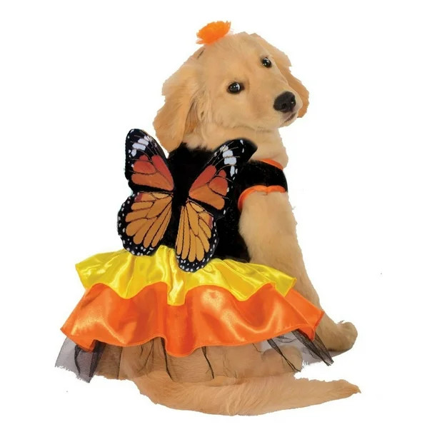Halloween Monarch Butterfly Pet Costume - Walmart.com | Walmart (US)