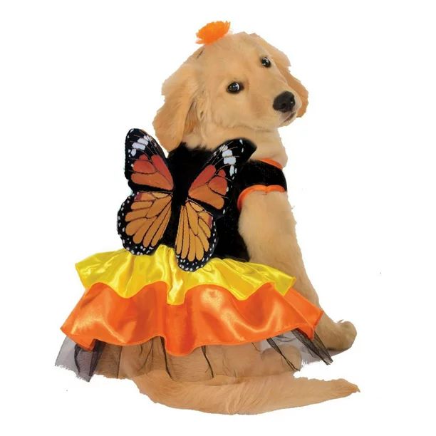 Halloween Monarch Butterfly Pet Costume - Walmart.com | Walmart (US)
