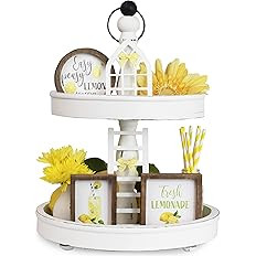 The Ultimate Farmhouse Tiered Tray Decor Set - Beautiful Year Round Seasonal & Holiday Decoration... | Amazon (US)