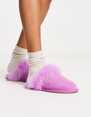 UGG Scuff Sis slippers in purple ruby | ASOS | ASOS (Global)