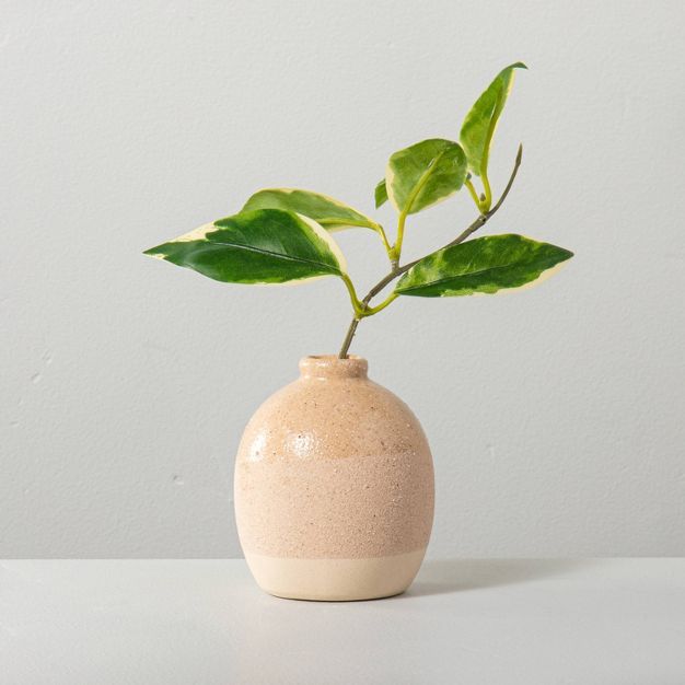 Faux Hoya Leaf Stem Potted Arrangement - Hearth & Hand™ with Magnolia | Target