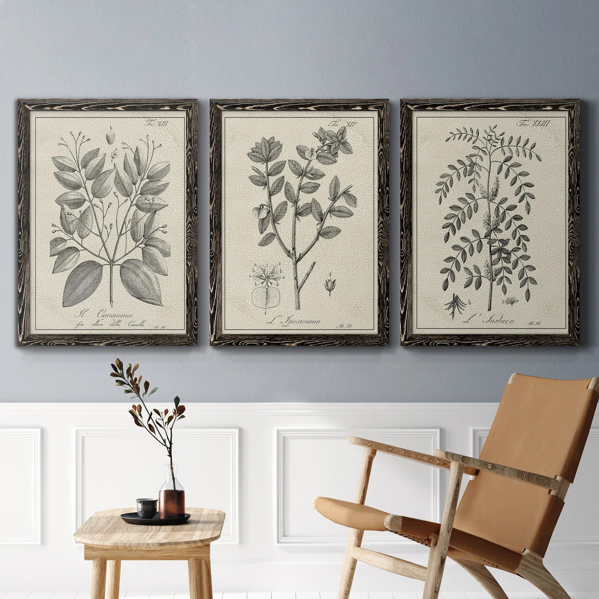 " Antique Black And White Botanical VII " 3 - Pieces | Wayfair North America