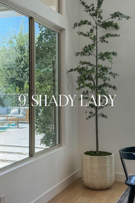 My 9 foot shady lady is currently the same price as the 7 foot! These never go on sale so don’t wait because this is a limited time offer. Not only is this tree, realistic and gorgeous, but you can’t kill it.😆🙌🏻

Pottery barn /shady lady/black olive tree/trending home decor/artificial tree

#LTKSaleAlert #LTKSeasonal #LTKHome