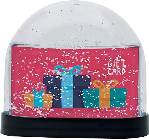 Neil Enterprises Inc. Gift Card Snow Globe | Amazon (US)