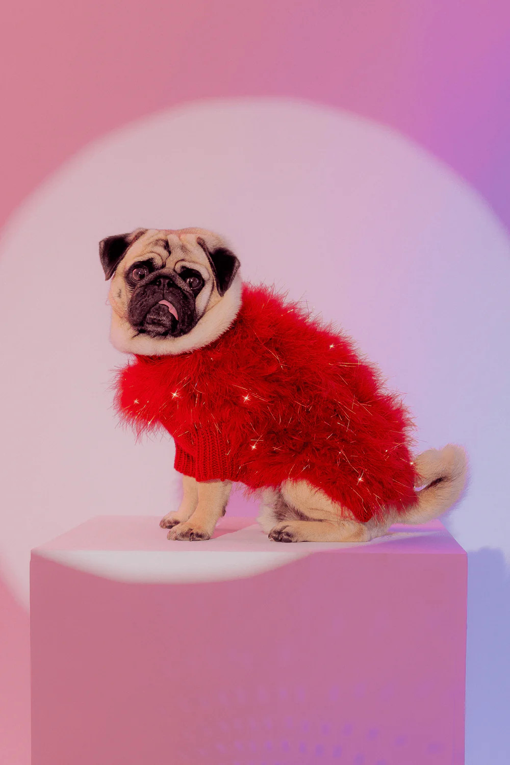 Christian Cowan Holiday Glitz Jumper | max-bone