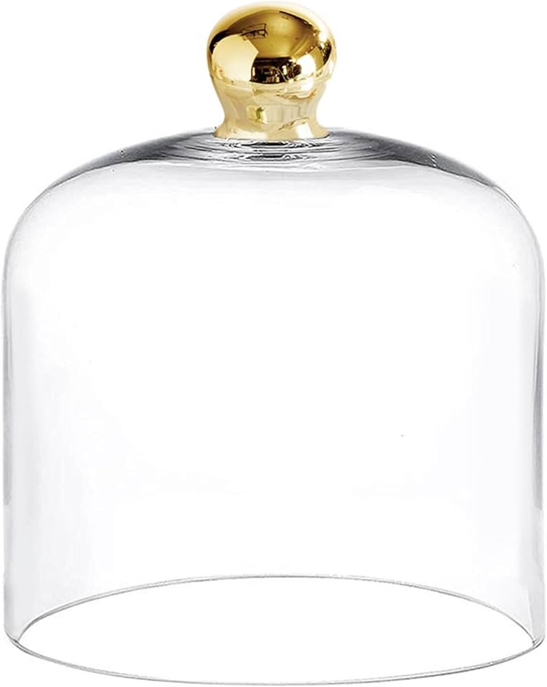 Santa Barbara Design Studio Glass Dome Food Cover Gold Knob Cloche, Medium, Clear | Amazon (US)
