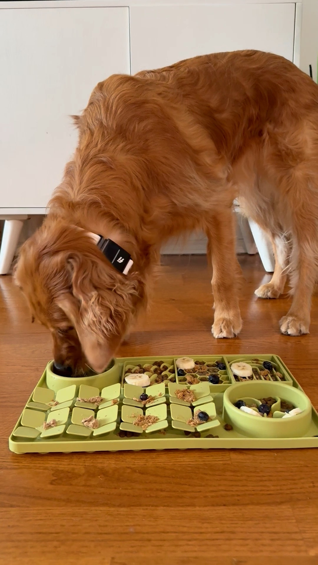 Loving this new silicone slow feeder enrichment mat! It keeps your dog mentally stimulated while promoting slower eating to improve digestion! 
