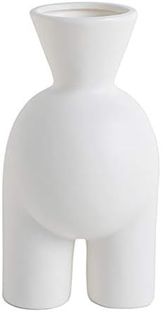 WEIDILIDU White Ceramic Vase Modern Home Decoration Porcelain Vase Flower Vase Frosted Statue Dec... | Amazon (US)