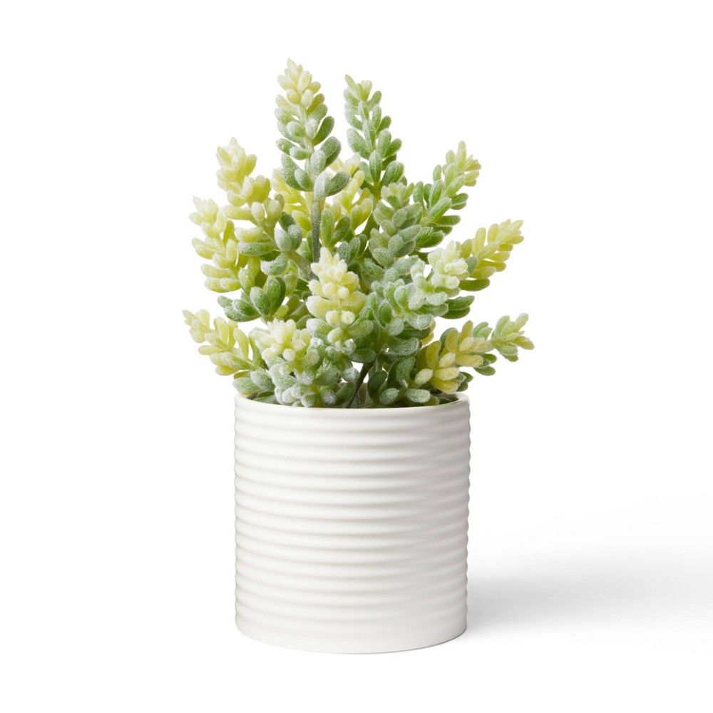 9.5"" x 5"" Faux Succulent Plant in Ribbed Pot White - Hilton Carter for Target | Target