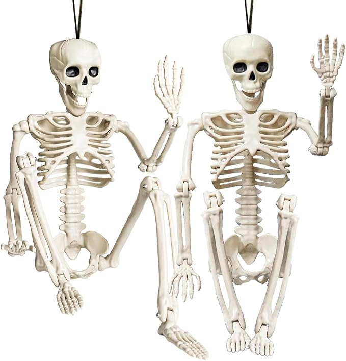 NEROSUN Halloween Skeleton Decorations, 2 Pack 26 Inch Full Body Skeleton with Movable Posable Jo... | Amazon (US)