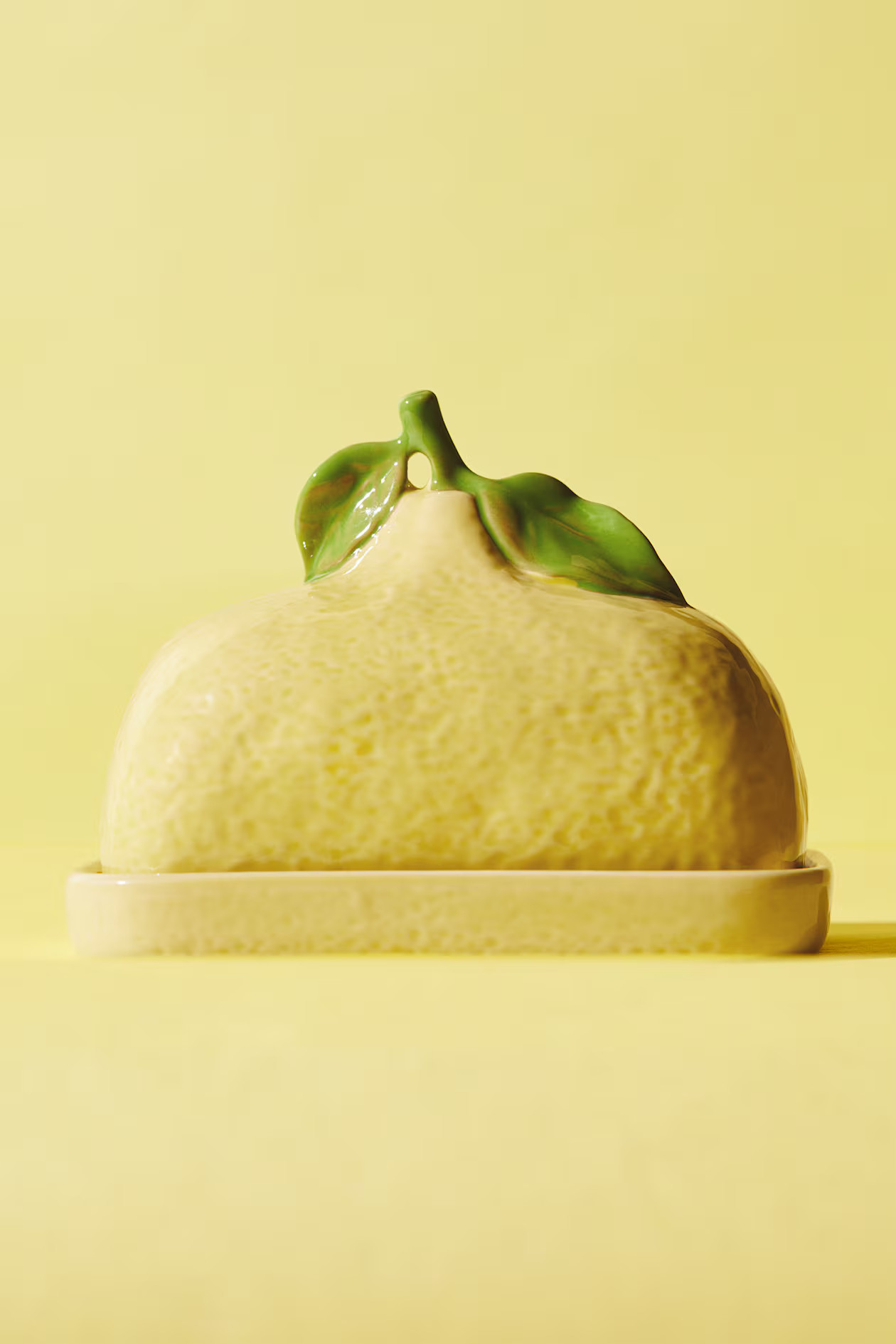 Stoneware Butter Dish | H&M (US + CA)
