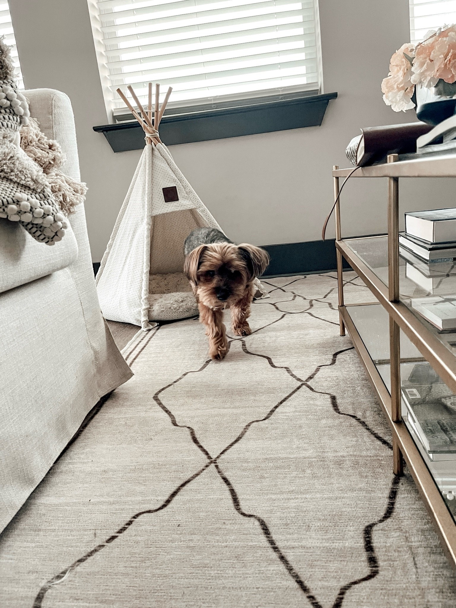 Apartment Therapy: Dog Beds for Every Room

Scroll to shop.

#LTKPet

#LTKHome #LTKdayinmylife