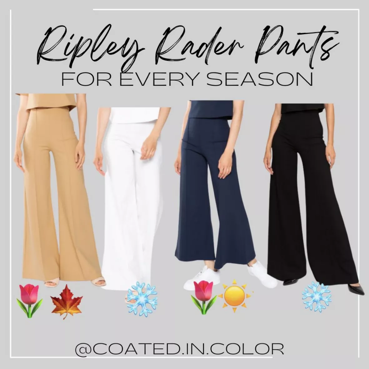 Wheat Ponte Knit Wide Leg Pant curated on LTK