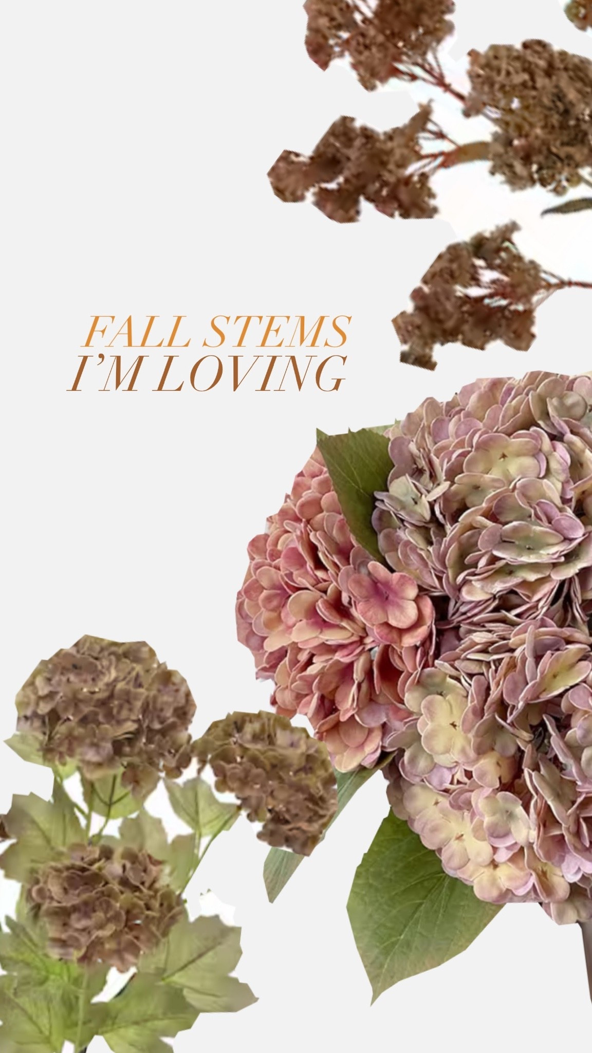 Fall hydrangeas I’m loving! 

#stems #florals faux flowers, gal home decor, Amazon home finds, Amazon, flower stems, decor finds, Halloween, cozy home, neutral aesthetic

#LTKHome #LTKSaleAlert #LTKSeasonal