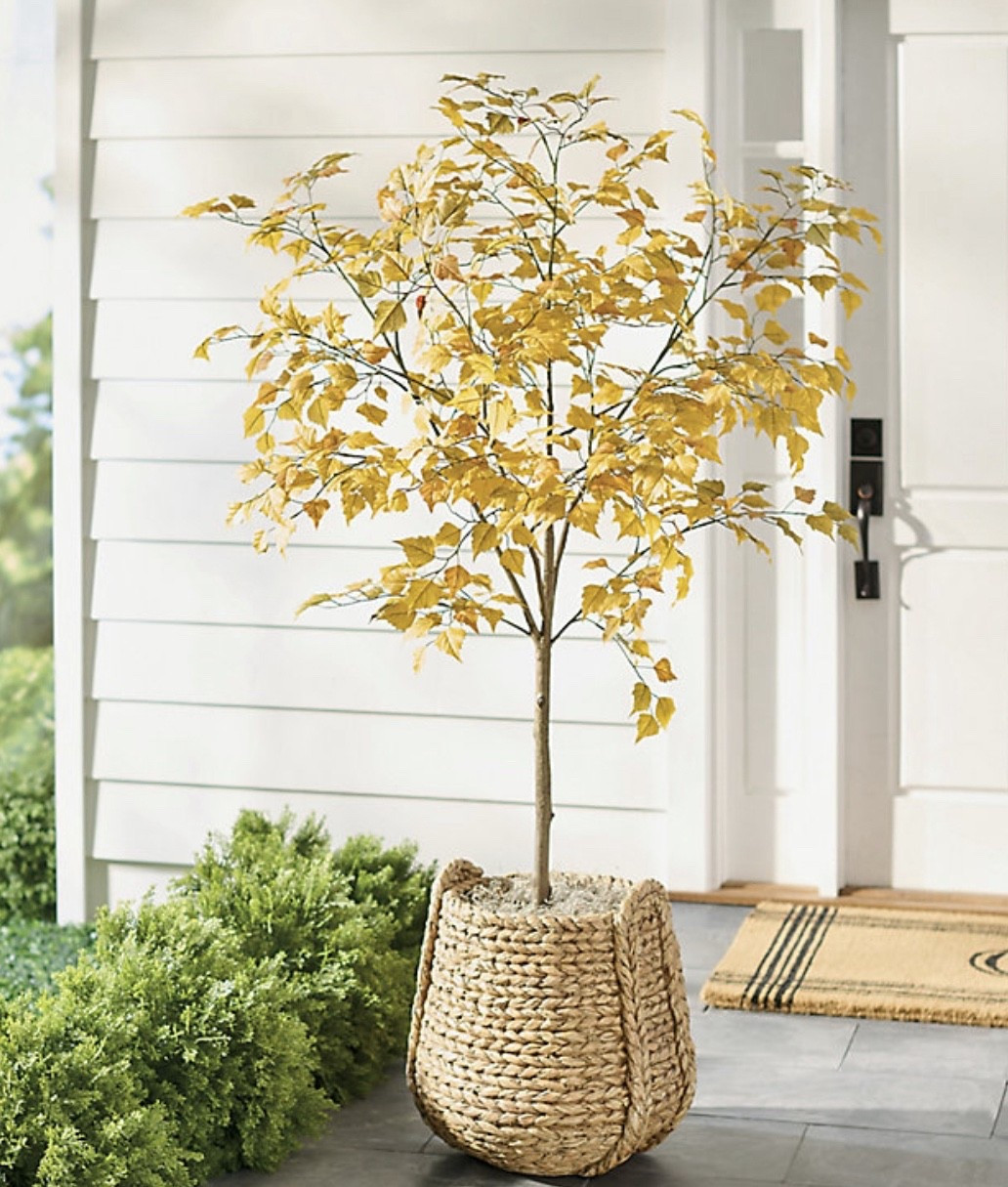 Golden Autumn Tree fall home decor faux leaves

#LTKHome #LTKSeasonal