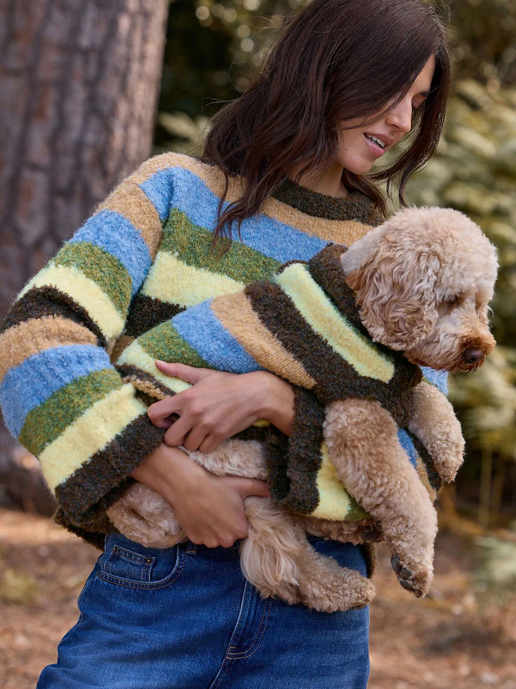 Multi Stripe Boucle Knitted Dog Jumper With Wool | Next EU