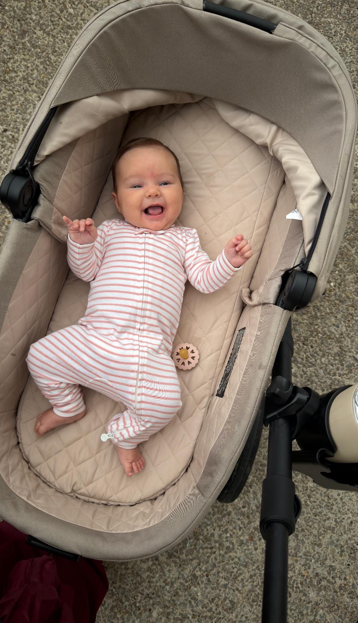 Loving these daily walks 