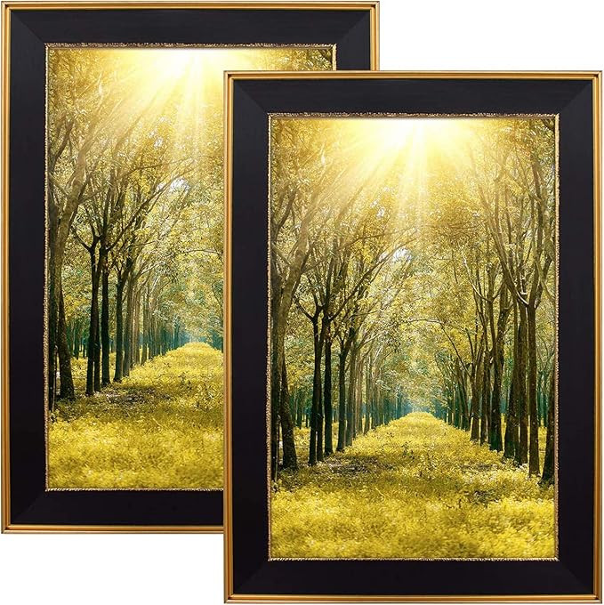 Space Art Deco, 11x17 Classics Gold Design Black Picture Frame - Photo/Picture/Poster Display - S... | Amazon (US)