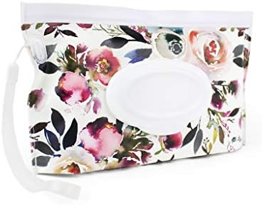 Itzy Ritzy Reusable Wipe Pouch – Take & Travel Pouch Holds Up To 30 Wet Wipes, Includes Silicone Wri | Amazon (US)