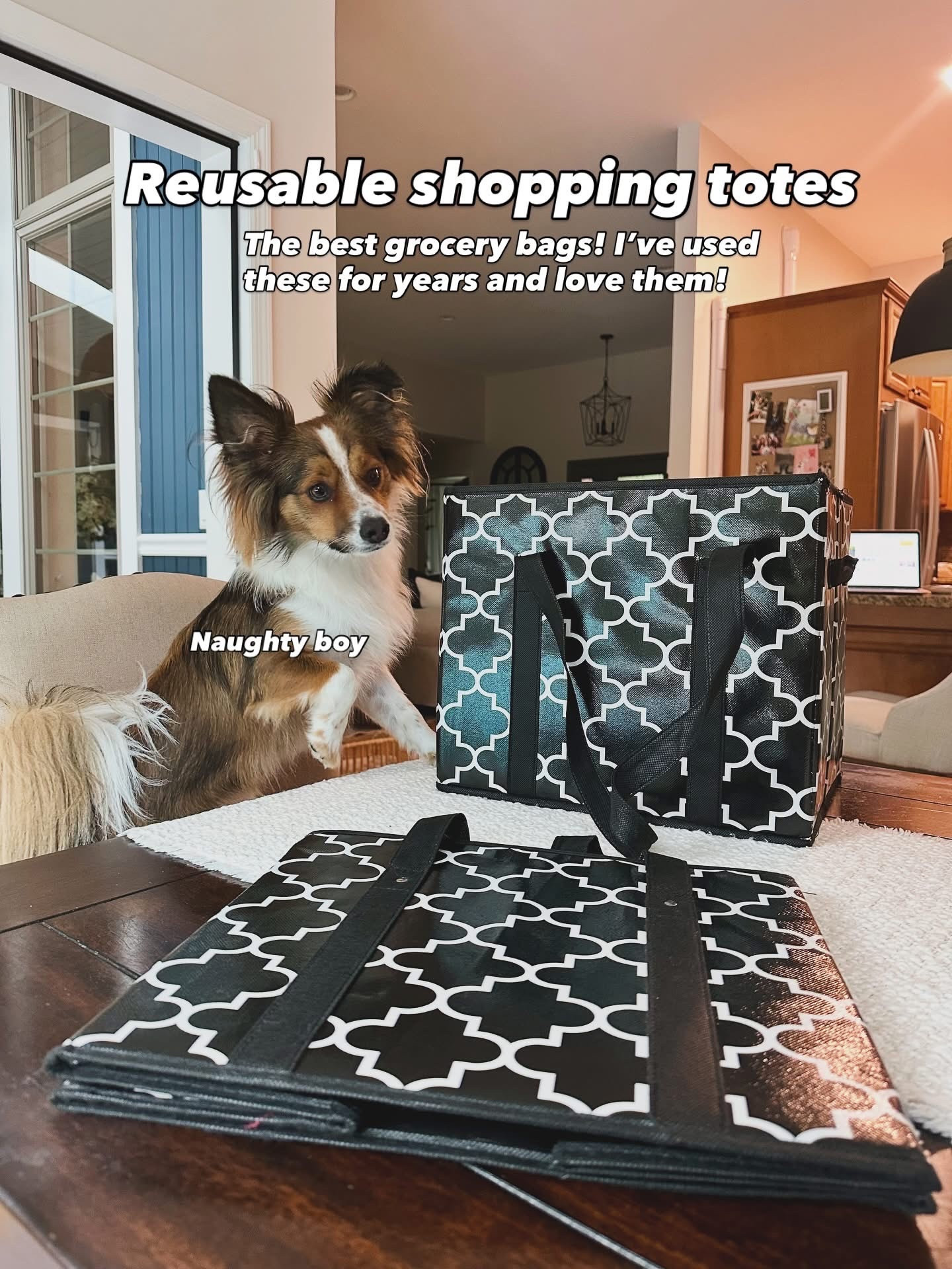 The best grocery shopping bags ! 

#LTKHome