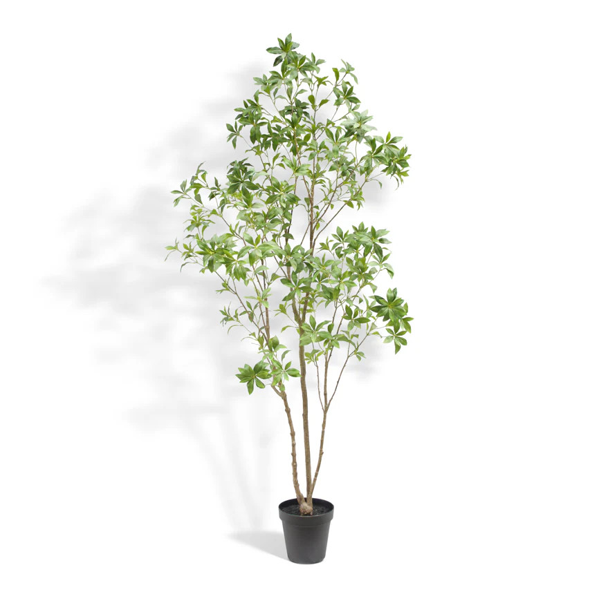 7' Artificial Laurel Tree | CG Hunter