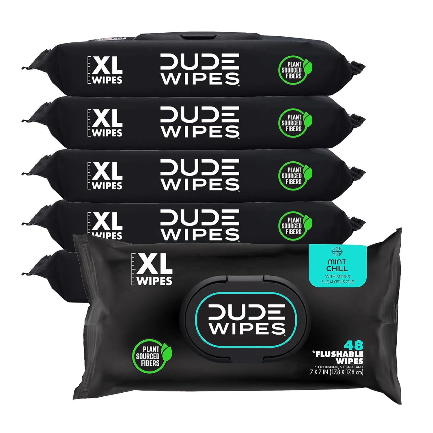 DUDE Wipes - Flushable Wipes - 6 Pack, 288 Wipes - Mint Chill Extra-Large Adult Wet Wipes - Vitam... | Amazon (US)