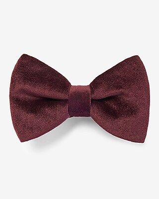 Burgundy Velvet Solid Bow Tie | Express