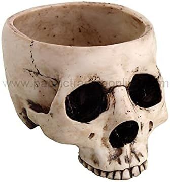 6.75 Inch Ceramic Open Skeleton Skull Figurine Medium Bowl, Beige | Amazon (US)