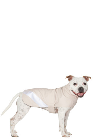 SSENSE Exclusive Beige Dog Raincoat | SSENSE