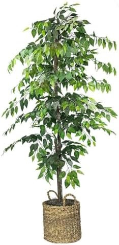 6-Foot Artificial Tree in Basket Green | Amazon (US)